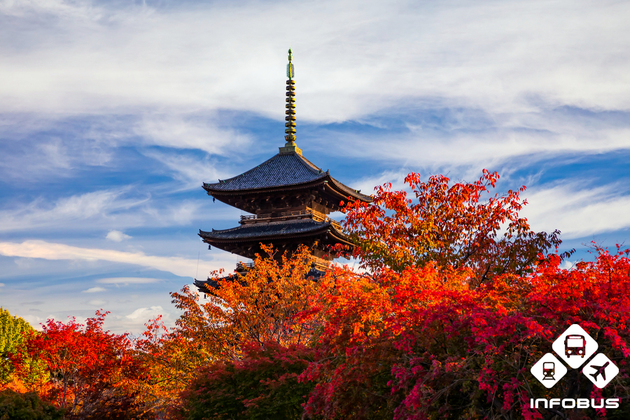 The fall foliage in Kyoto 