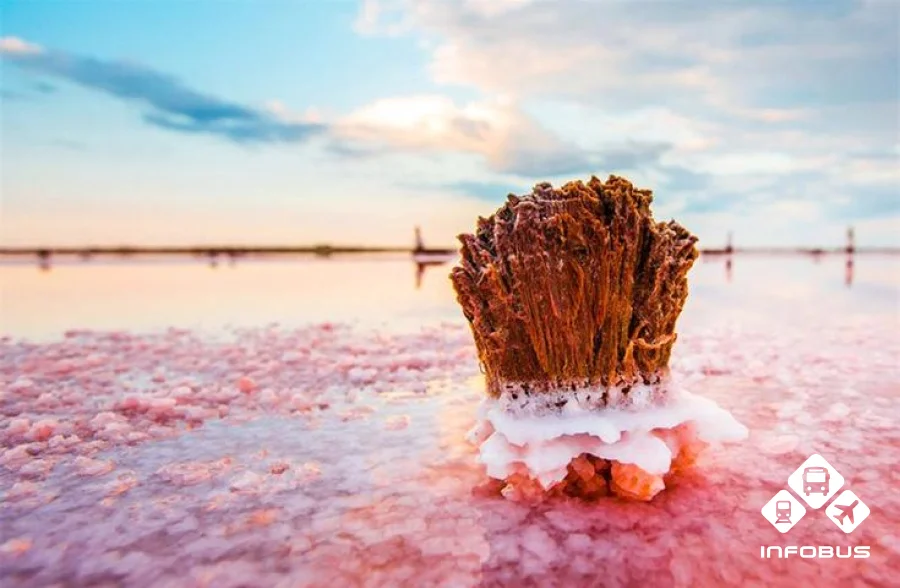 7 самых красивых озер Украины: как добраться на автобусе