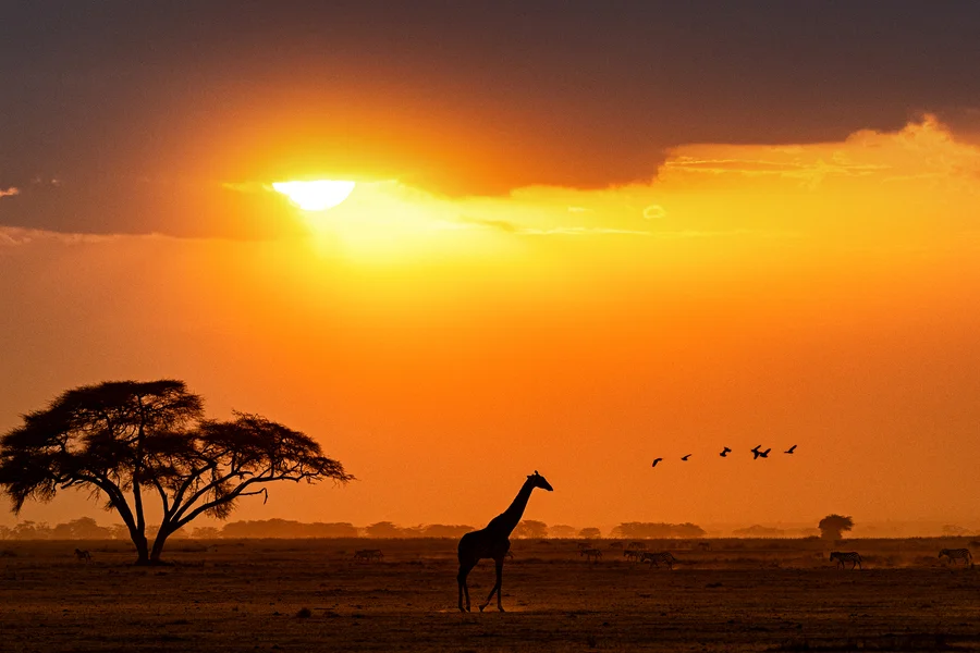 Sunset over the savannah in Kenya.