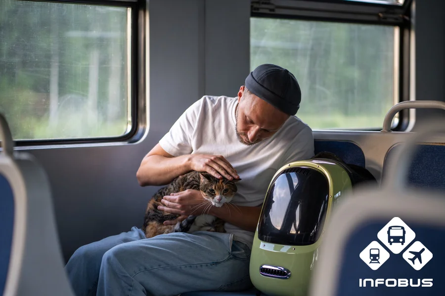 Travel with a cat