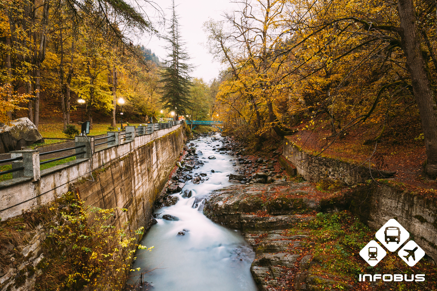 Borjomi-Kharagauli National Park in autumn