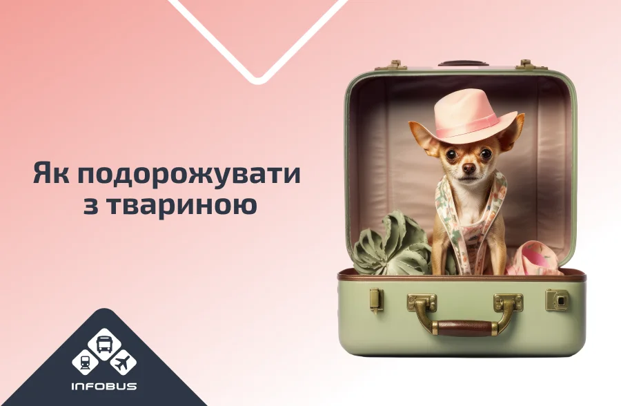 Як подорожувати з твариною?