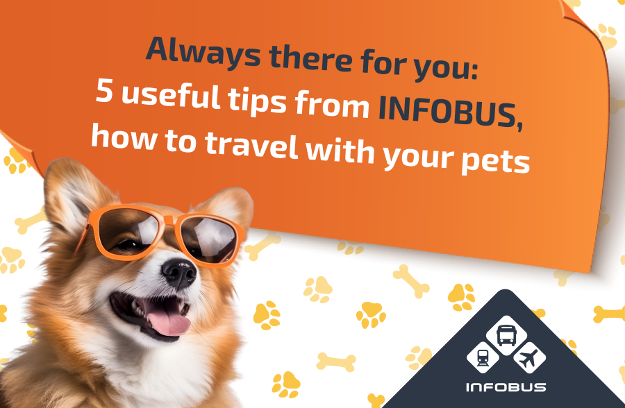 Always there for you: 5 useful tips from INFOBUS how to travel with your pets