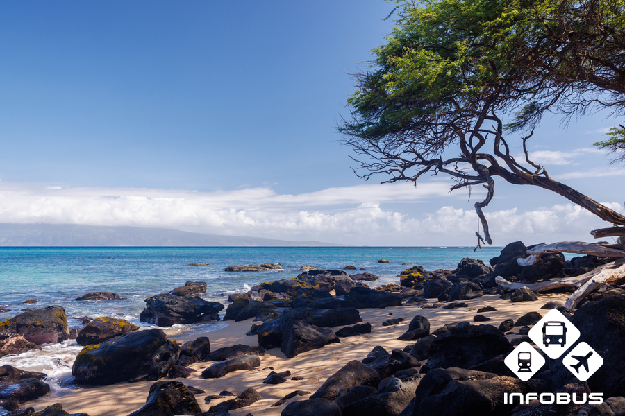 Beaches in Maui in November 