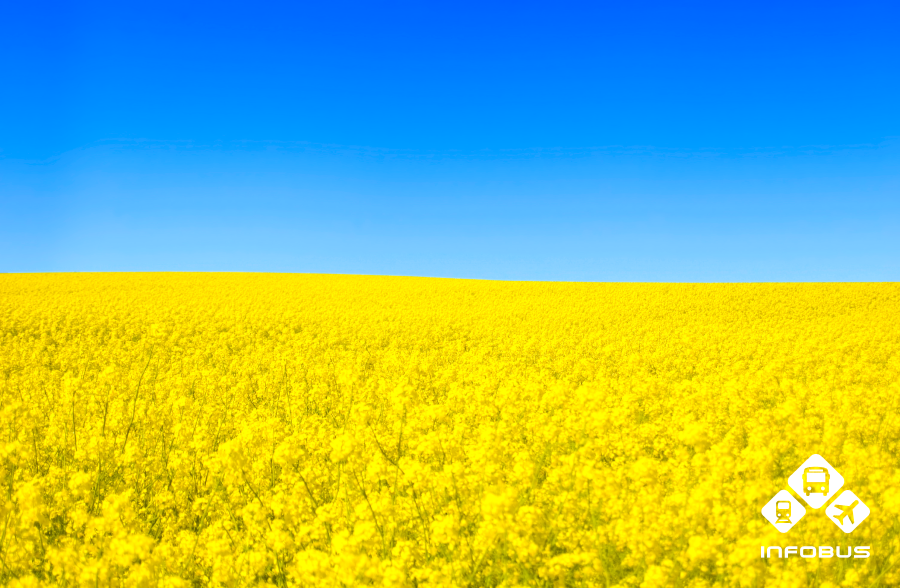 Де провести літню відпустку в Україні?