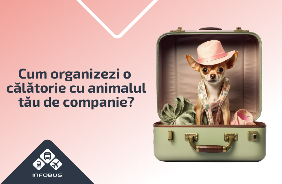 Cum organizezi o călătorie cu animalul tău de companie?