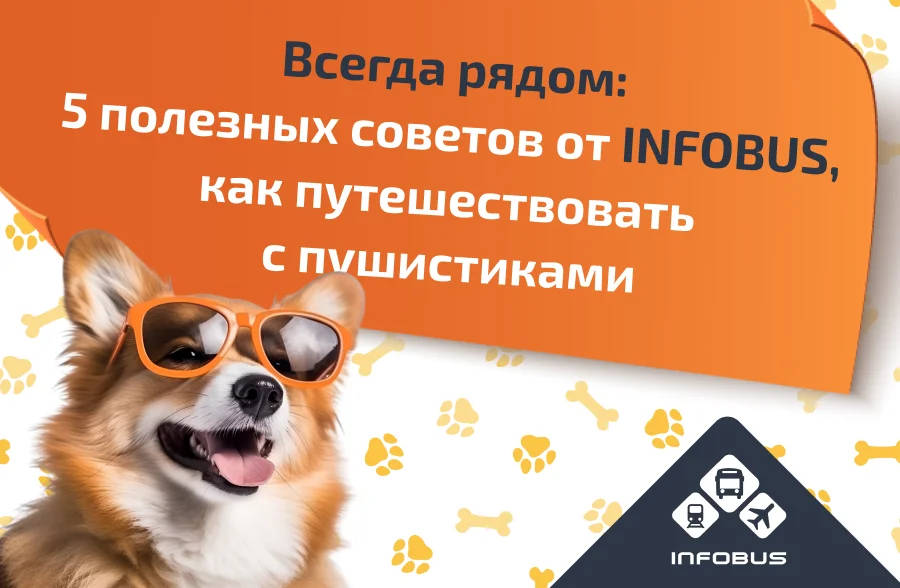 Всегда рядом: 5 полезных советов от INFOBUS, как путешествовать с животными