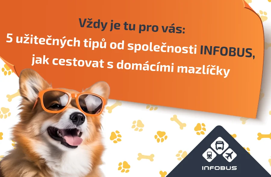 Vždy je tu pro vás: 5 užitečných tipů od společnosti INFOBUS, jak cestovat s domácími mazlíčky