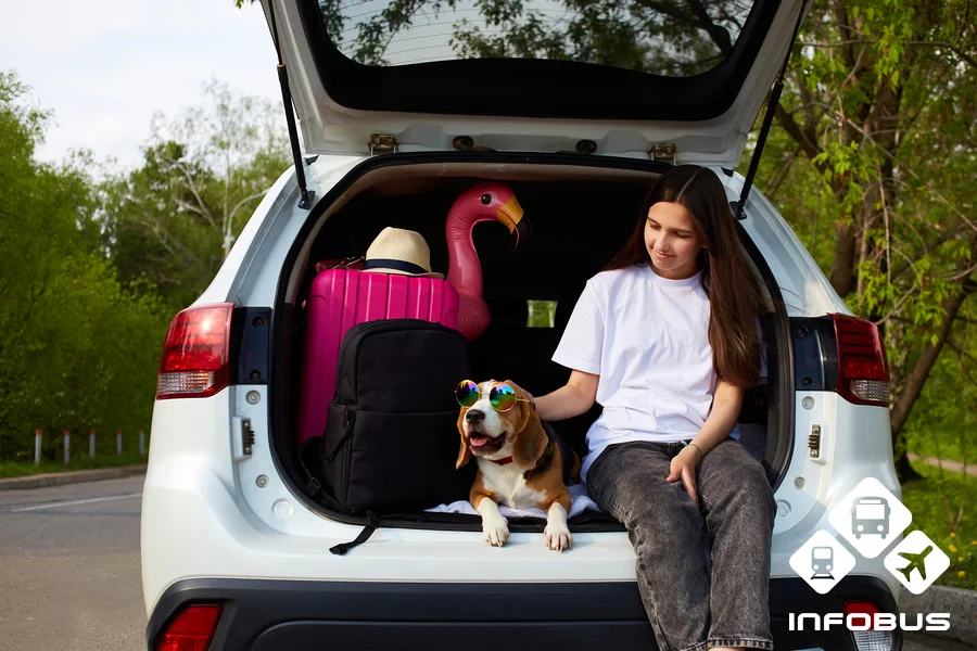 Road trip with pets 