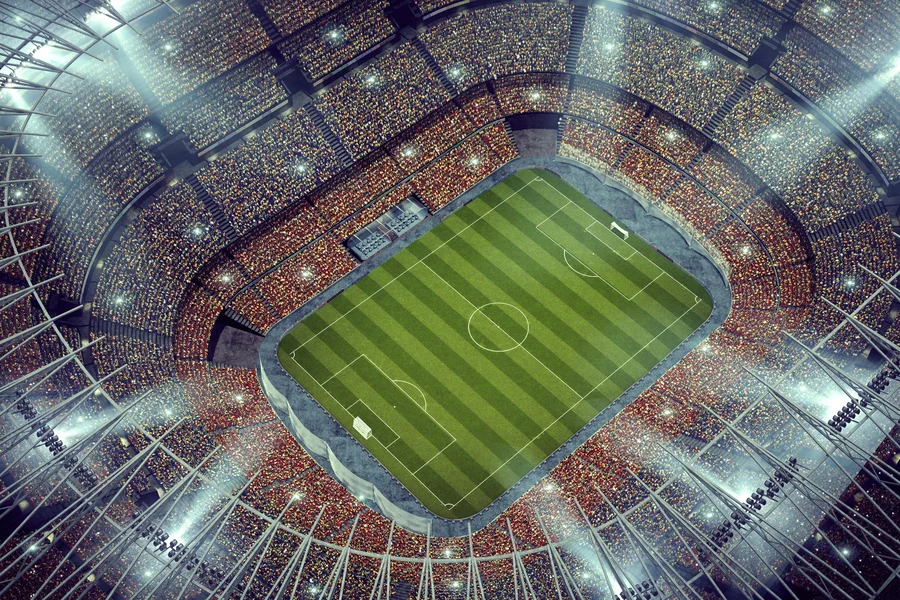 Cheering crowd at a football stadium.