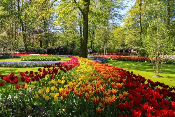 Bollenstreek