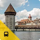 lucern