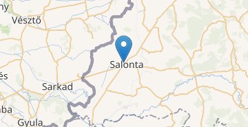 Zemljevid Salonta