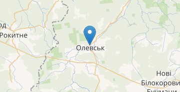 Карта Олевск